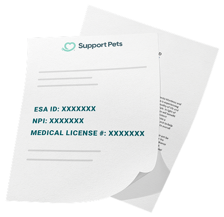 Example Emotional Support Animal letter issued by a licensed health professional.