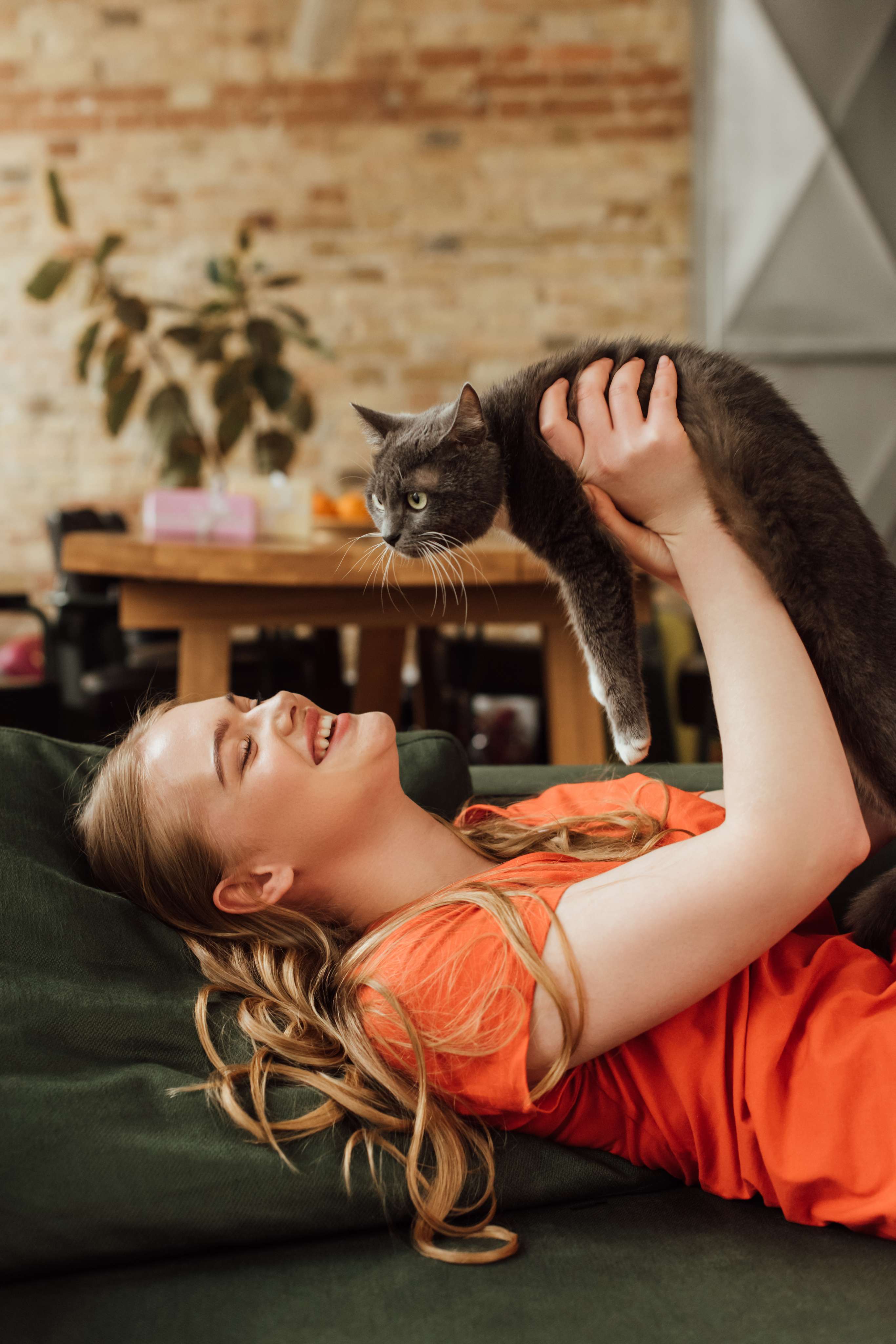 A woman lying on a sofa holding her gray cat above her, both smiling.