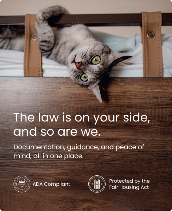 A cat on a bed alongside a reminder that the law is on your side — ADA and FHA badges.